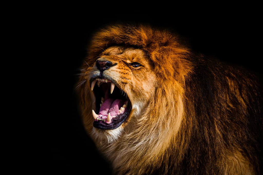 Cair na malha fina, eu? | Blog